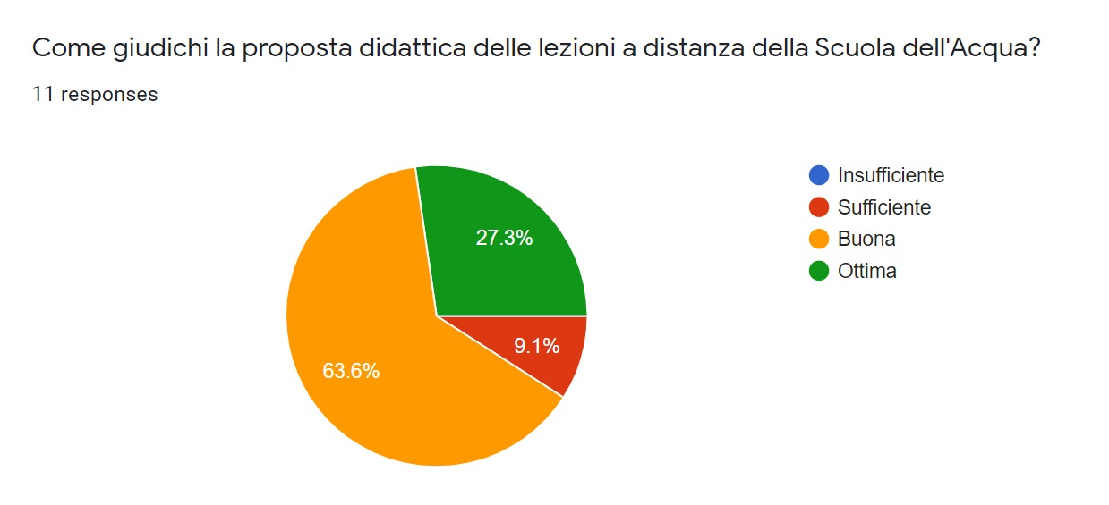 giudizio lezioni sincrone